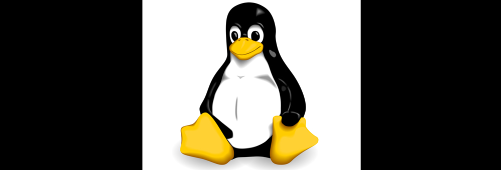 Linux Computer Repair Linux Computer Repair